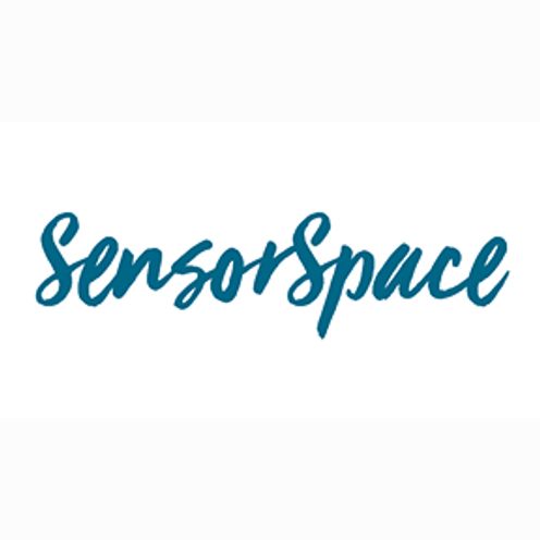 Sensor Space Summer School