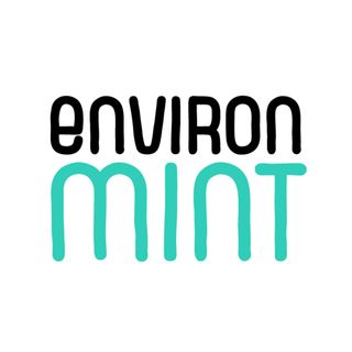 EnvironMINT