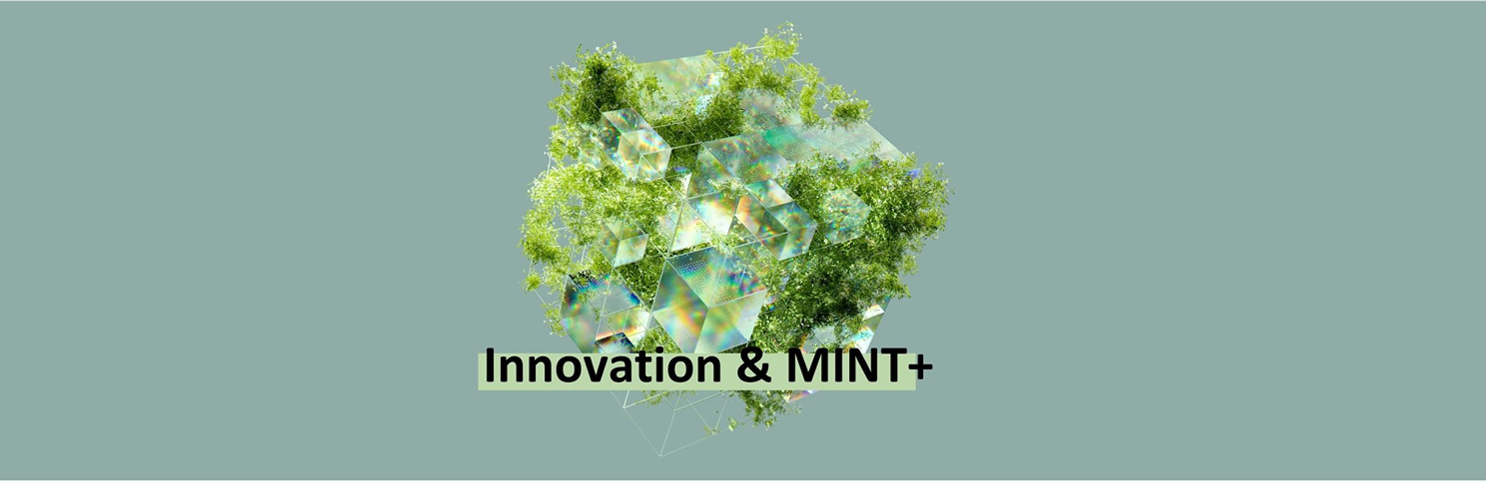 MINT+  & Innovation-Tag
