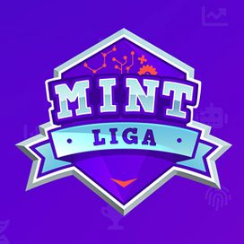 MINT Cluster: MINT Liga