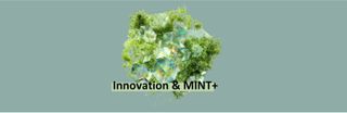 MINT+  & Innovation-Tag