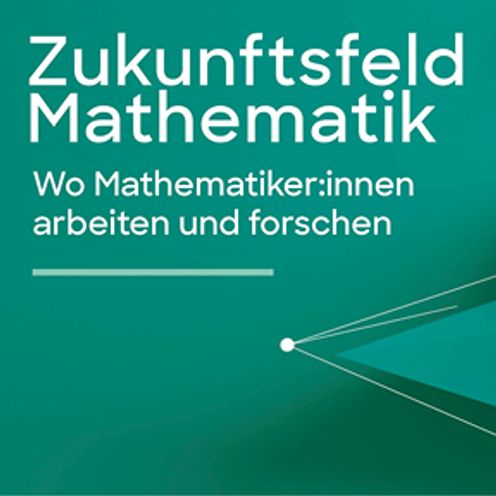 Zukunftsfeld Mathematik