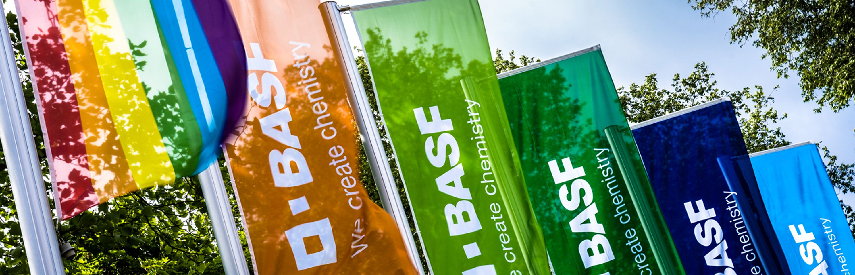 Hintergrundbild der Organisation BASF