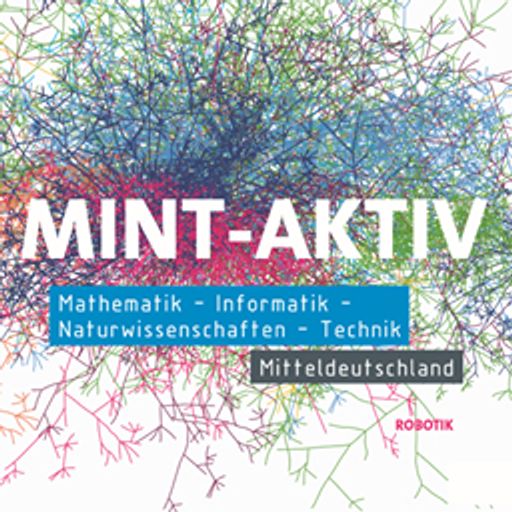 MINT-AKTIV Sachsen, MINT Cluster