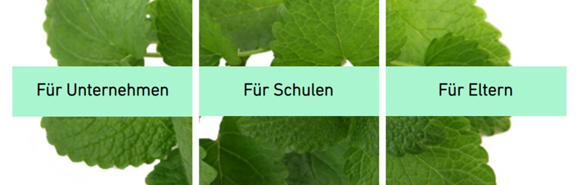 Frau MINT