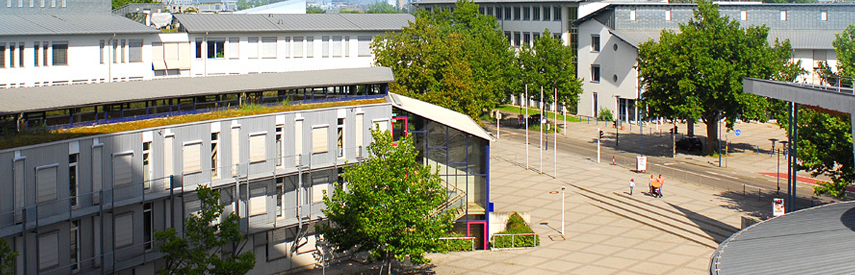 Hintergrundbild der Organisation Hochschule Mannheim