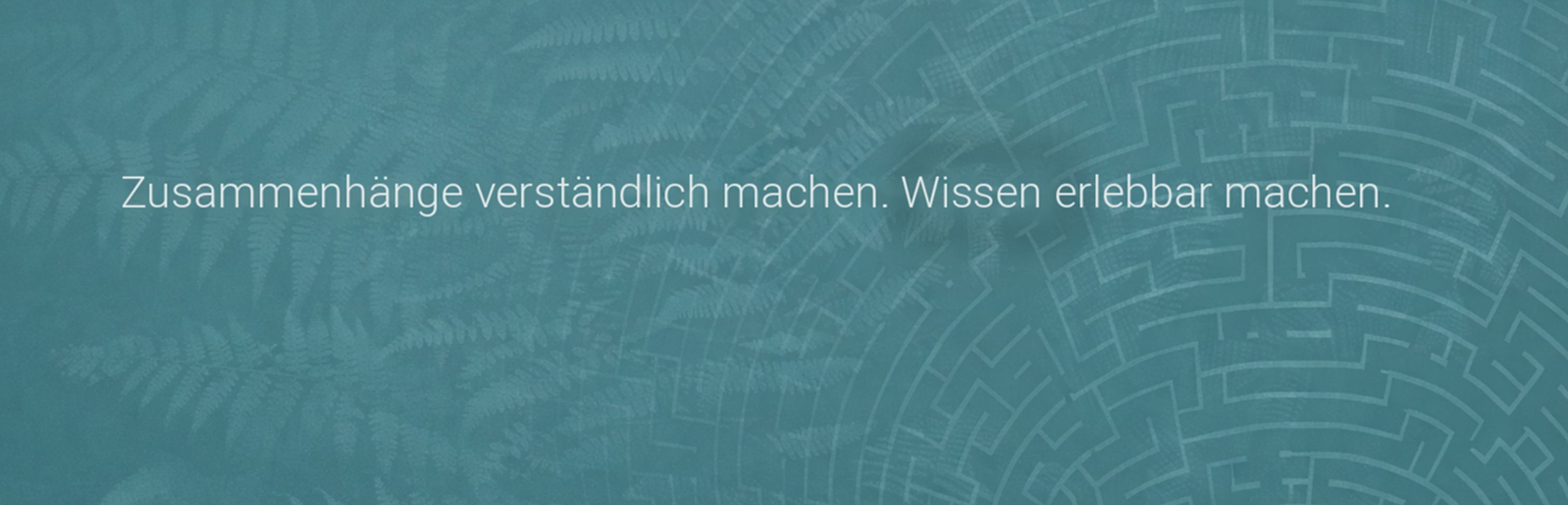 Hintergrundbild der Organisation MaZe Projects